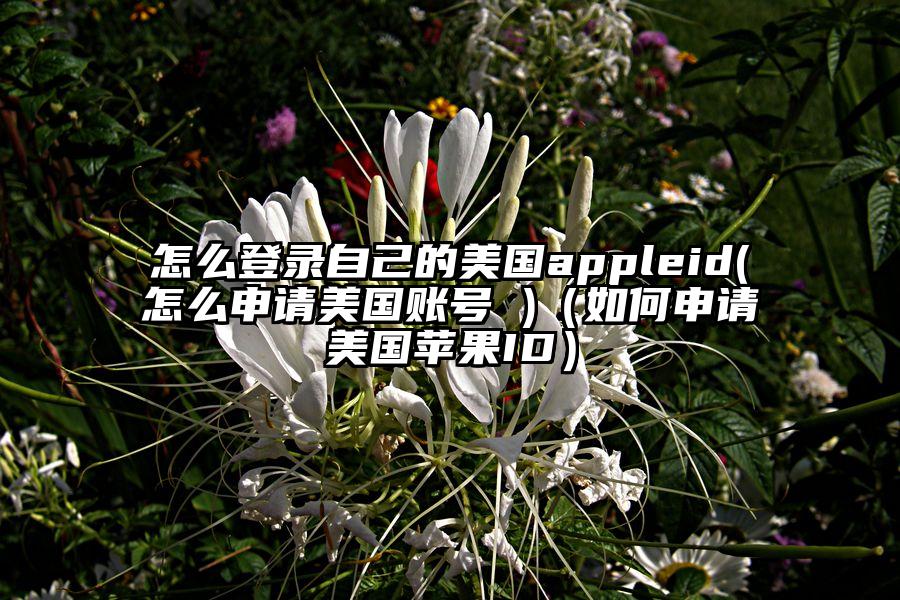 怎么登录自己的美国appleid(怎么申请美国账号 )（如何申请美国苹果ID）