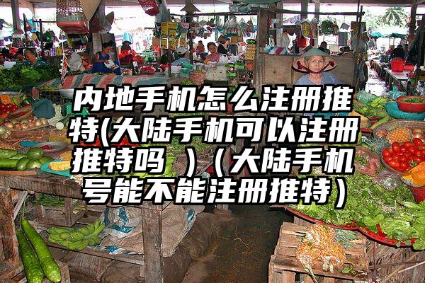 内地手机怎么注册推特(大陆手机可以注册推特吗 )（大陆手机号能不能注册推特）