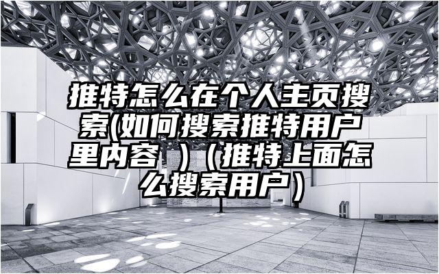 推特怎么在个人主页搜索(如何搜索推特用户里内容 )（推特上面怎么搜索用户）