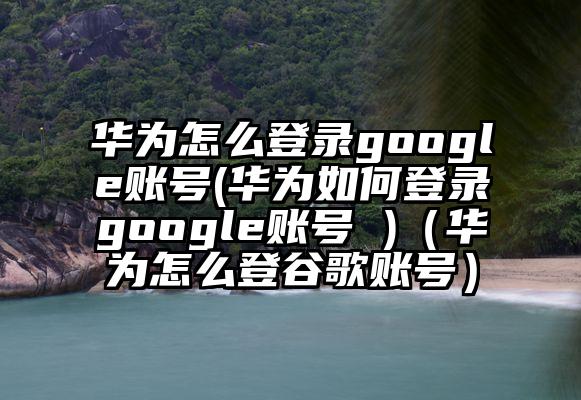 华为怎么登录google账号(华为如何登录google账号 )（华为怎么登谷歌账号）
