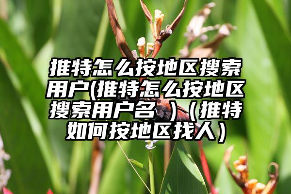 推特怎么按地区搜索用户(推特怎么按地区搜索用户名 )（推特如何按地区找人）