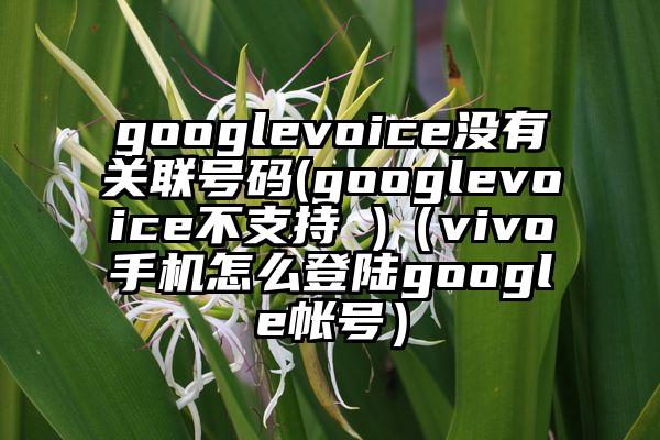 googlevoice没有关联号码(googlevoice不支持 )（vivo手机怎么登陆google帐号）