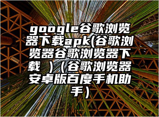 google谷歌浏览器下载apk(谷歌浏览器谷歌浏览器下载 )（谷歌浏览器安卓版百度手机助手）