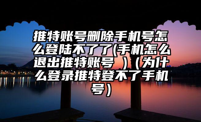 推特账号删除手机号怎么登陆不了了(手机怎么退出推特账号 )（为什么登录推特登不了手机号）