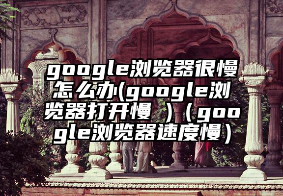 google浏览器很慢怎么办(google浏览器打开慢 )（google浏览器速度慢）