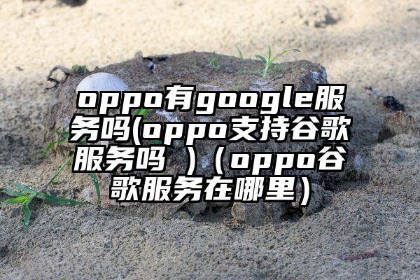 oppo有google服务吗(oppo支持谷歌服务吗 )（oppo谷歌服务在哪里）