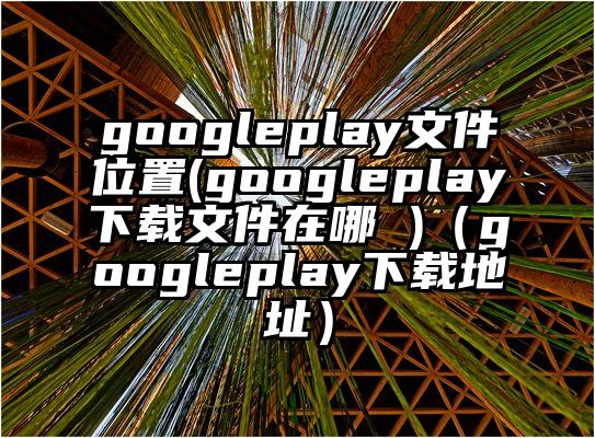 googleplay文件位置(googleplay下载文件在哪 )（googleplay下载地址）