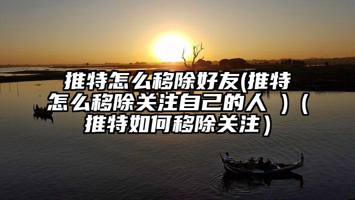 推特怎么移除好友(推特怎么移除关注自己的人 )（推特如何移除关注）