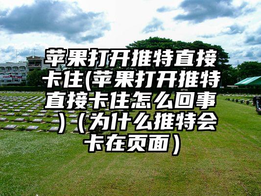 苹果打开推特直接卡住(苹果打开推特直接卡住怎么回事 )（为什么推特会卡在页面）