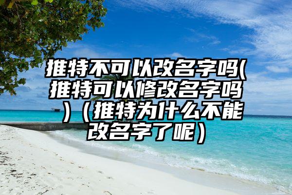推特不可以改名字吗(推特可以修改名字吗 )（推特为什么不能改名字了呢）
