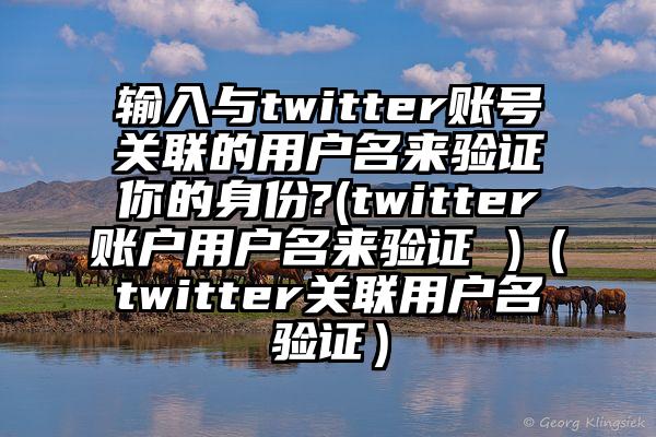 输入与twitter账号关联的用户名来验证你的身份?(twitter账户用户名来验证 )（twitter关联用户名验证）