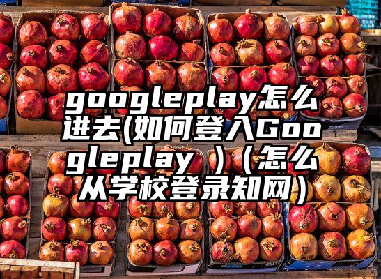 googleplay怎么进去(如何登入Googleplay )（怎么从学校登录知网）