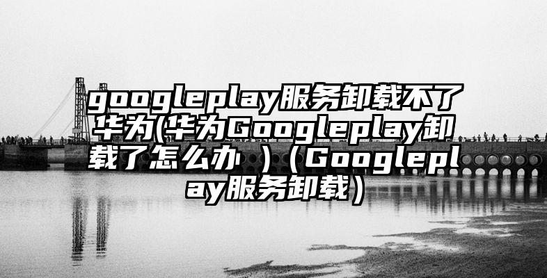 googleplay服务卸载不了华为(华为Googleplay卸载了怎么办 )（Googleplay服务卸载）