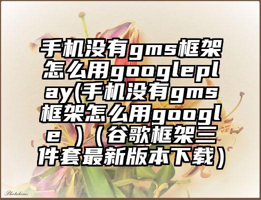 手机没有gms框架怎么用googleplay(手机没有gms框架怎么用google )（谷歌框架三件套最新版本下载）