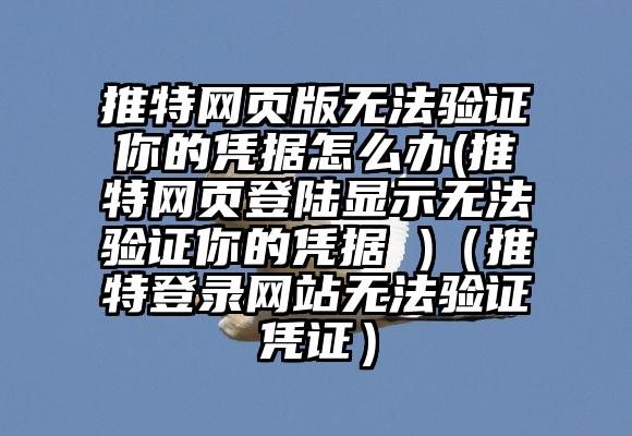 推特网页版无法验证你的凭据怎么办(推特网页登陆显示无法验证你的凭据 )（推特登录网站无法验证凭证）