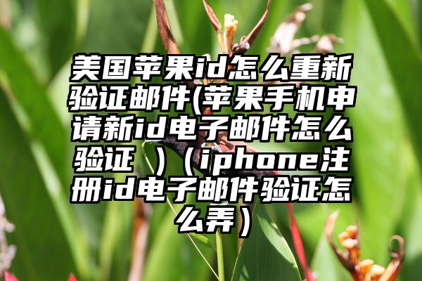 美国苹果id怎么重新验证邮件(苹果手机申请新id电子邮件怎么验证 )（iphone注册id电子邮件验证怎么弄）
