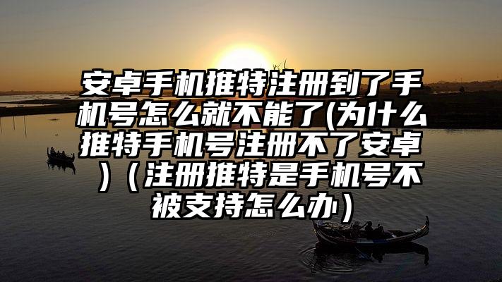 安卓手机推特注册到了手机号怎么就不能了(为什么推特手机号注册不了安卓 )（注册推特是手机号不被支持怎么办）