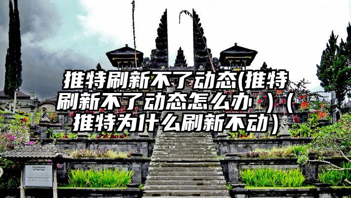 推特刷新不了动态(推特刷新不了动态怎么办 )（推特为什么刷新不动）