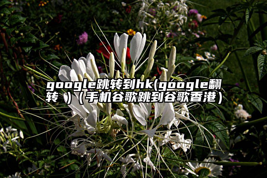 google跳转到hk(google翻转 )（手机谷歌跳到谷歌香港）