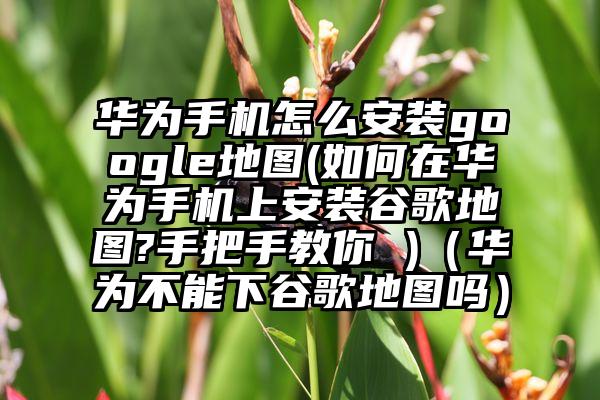 华为手机怎么安装google地图(如何在华为手机上安装谷歌地图?手把手教你 )（华为不能下谷歌地图吗）
