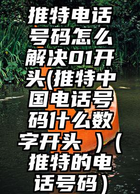推特电话号码怎么解决01开头(推特中国电话号码什么数字开头 )（推特的电话号码）