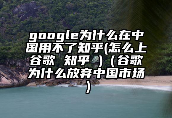 google为什么在中国用不了知乎(怎么上谷歌 知乎 )（谷歌为什么放弃中国市场）