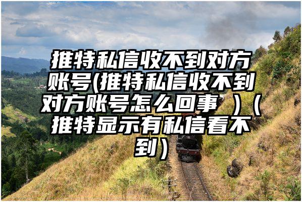 推特私信收不到对方账号(推特私信收不到对方账号怎么回事 )（推特显示有私信看不到）