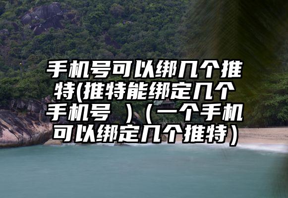 手机号可以绑几个推特(推特能绑定几个手机号 )（一个手机可以绑定几个推特）