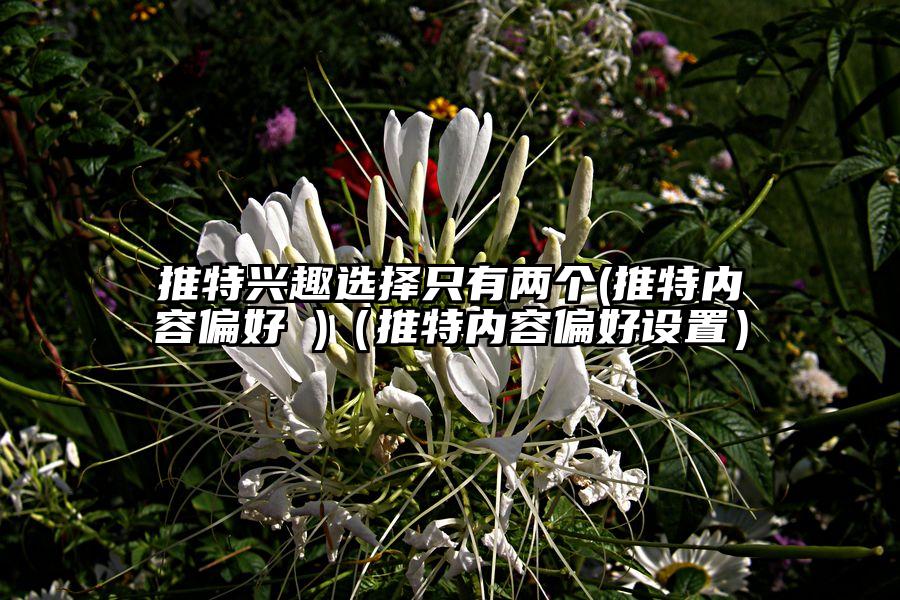 推特兴趣选择只有两个(推特内容偏好 )（推特内容偏好设置）