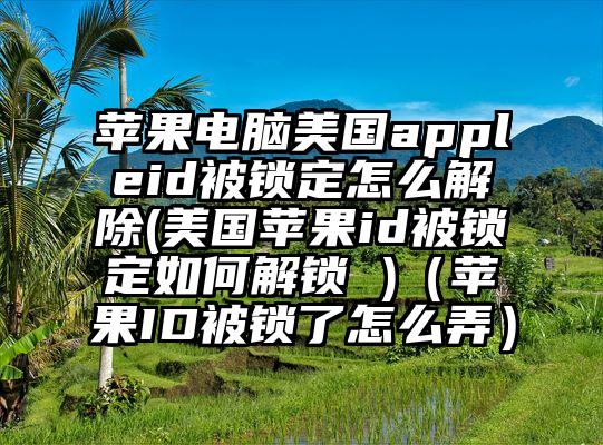 苹果电脑美国appleid被锁定怎么解除(美国苹果id被锁定如何解锁 )（苹果ID被锁了怎么弄）