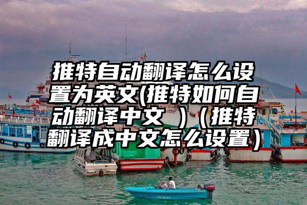 推特自动翻译怎么设置为英文(推特如何自动翻译中文 )（推特翻译成中文怎么设置）