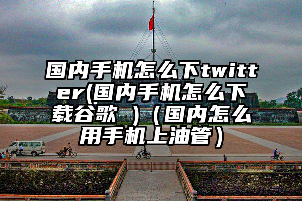 国内手机怎么下twitter(国内手机怎么下载谷歌 )（国内怎么用手机上油管）
