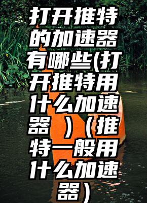 打开推特的加速器有哪些(打开推特用什么加速器 )（推特一般用什么加速器）
