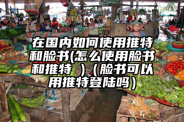 在国内如何使用推特和脸书(怎么使用脸书和推特 )（脸书可以用推特登陆吗）