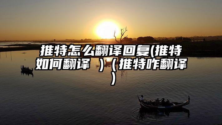推特怎么翻译回复(推特如何翻译 )（推特咋翻译）
