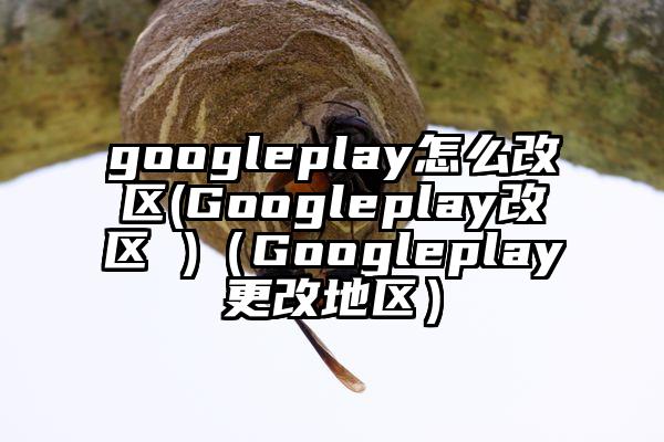 googleplay怎么改区(Googleplay改区 )（Googleplay更改地区）