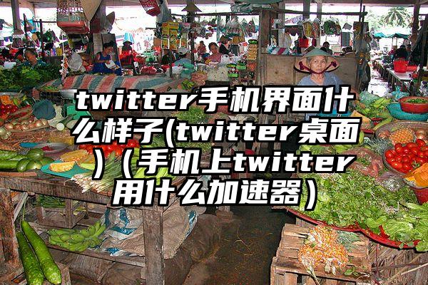 twitter手机界面什么样子(twitter桌面 )（手机上twitter用什么加速器）