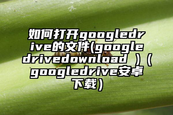 如何打开googledrive的文件(googledrivedownload )（googledrive安卓下载）