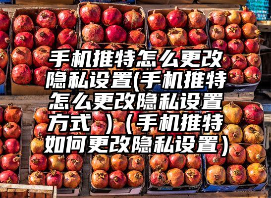 手机推特怎么更改隐私设置(手机推特怎么更改隐私设置方式 )（手机推特如何更改隐私设置）