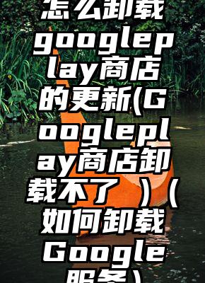 怎么卸载googleplay商店的更新(Googleplay商店卸载不了 )（如何卸载Google服务）