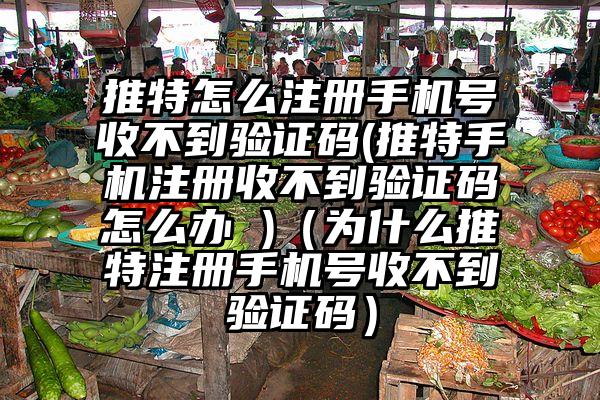 推特怎么注册手机号收不到验证码(推特手机注册收不到验证码怎么办 )（为什么推特注册手机号收不到验证码）