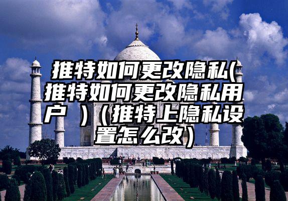 推特如何更改隐私(推特如何更改隐私用户 )(推特上隐私设置怎么改)