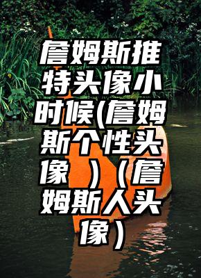 詹姆斯推特头像小时候(詹姆斯个性头像 )（詹姆斯人头像）