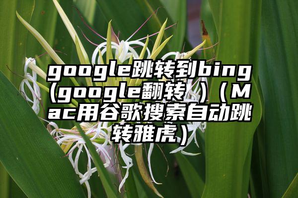 google跳转到bing(google翻转 )（Mac用谷歌搜索自动跳转雅虎）