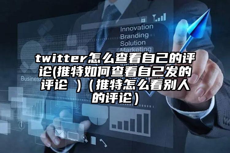 twitter怎么查看自己的评论(推特如何查看自己发的评论 )（推特怎么看别人的评论）