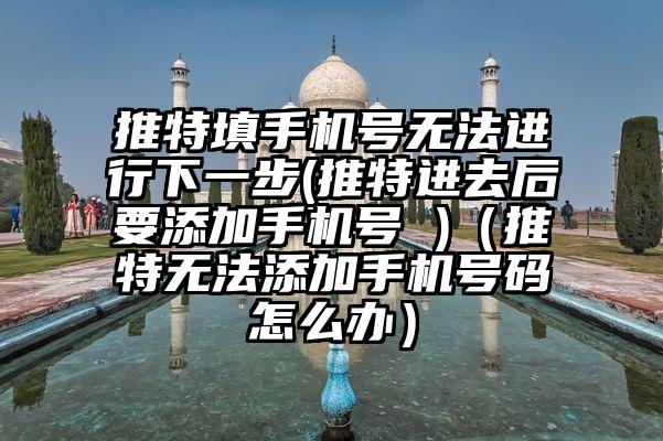 推特填手机号无法进行下一步(推特进去后要添加手机号 )（推特无法添加手机号码怎么办）