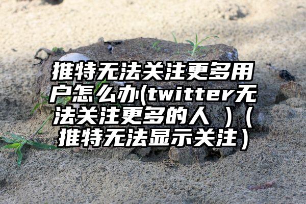 推特无法关注更多用户怎么办(twitter无法关注更多的人 )（推特无法显示关注）