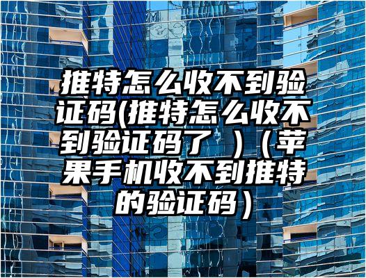 推特怎么收不到验证码(推特怎么收不到验证码了 )（苹果手机收不到推特的验证码）
