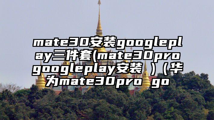 mate30安装googleplay三件套(mate30progoogleplay安装 )（华为mate30pro go