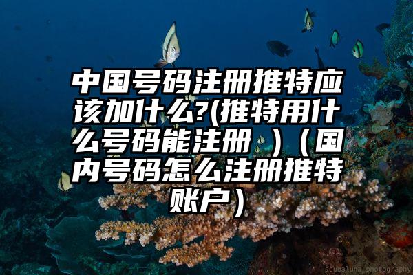中国号码注册推特应该加什么?(推特用什么号码能注册 )（国内号码怎么注册推特账户）
